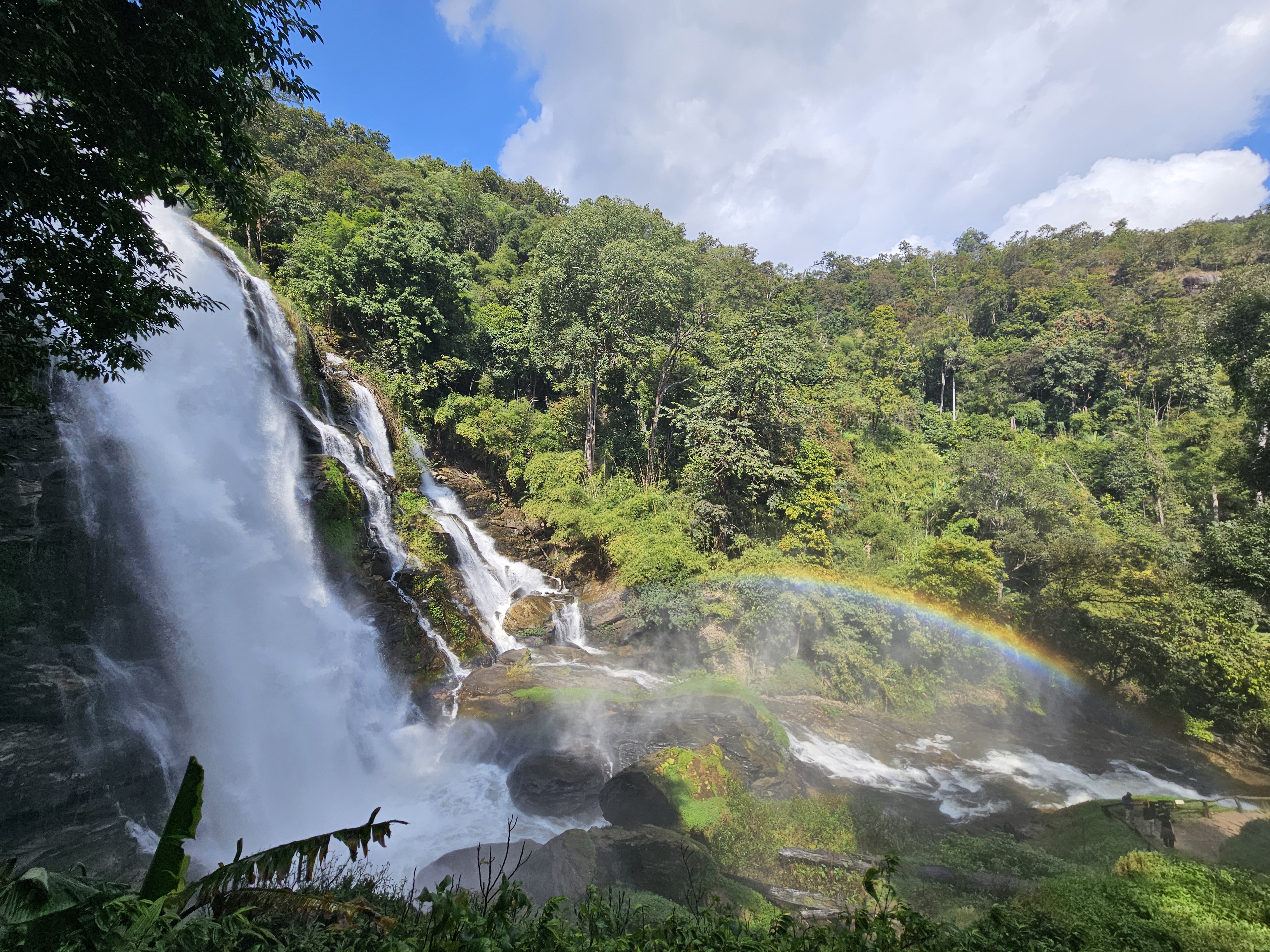 ทัศนียภาพป่ารอบน้ำตก